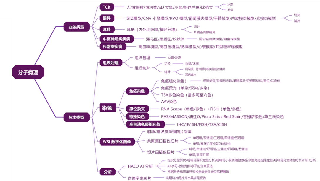 业务范围