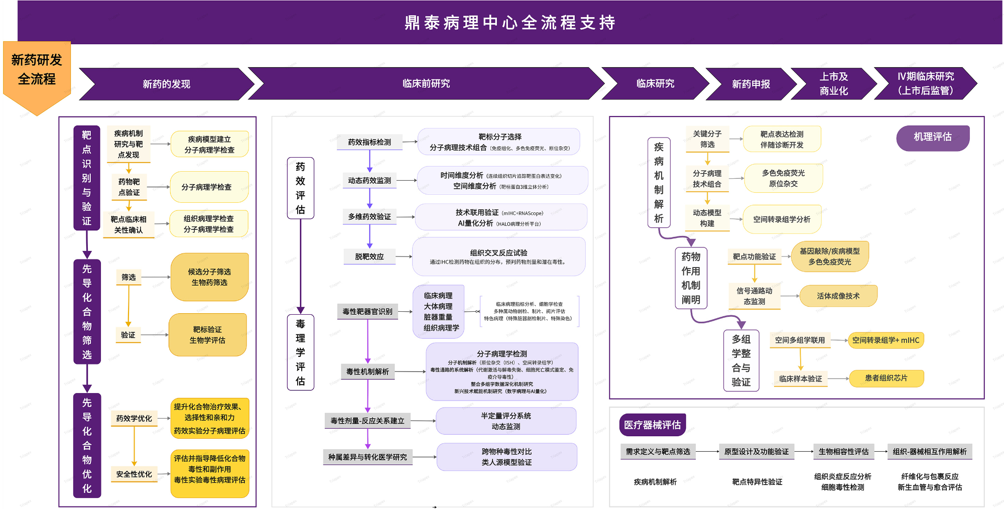 全流程图